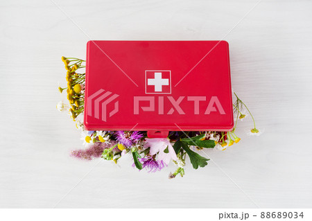Fresh medical herbs in red first aid kit. Alternative medicine concept. Fresh medical herbs in red first aid kit. Alternative medicine concept. 88689034