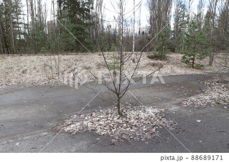 チェルノブイリ　廃墟 88689171