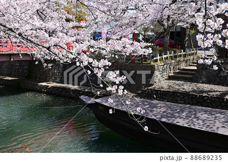 大垣市奥の細道結びの地に咲く桜と水門川 大垣市奥の細道結びの地に咲く桜と水門川 88689235