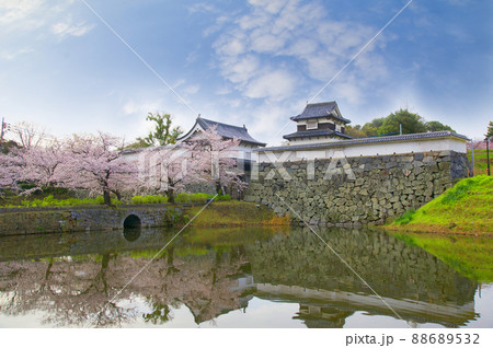 桜満開の福岡城の朝【福岡県】 88689532