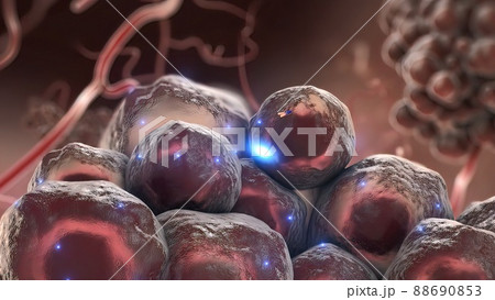 Antibodies that attack tumor cells 88690853