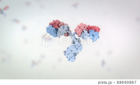 The structure of a typical antibody molecule.Antibodies and amino acids 88690867