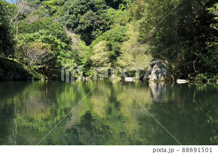 川 河 風景 88691501