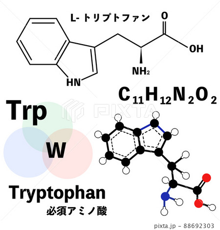トリプトファンの分子構造式 分子構造のイラストセットのイラスト素材
