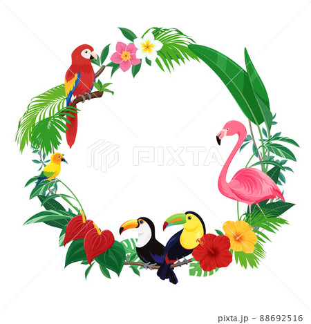 トロピカルな鳥の丸いフレーム_イラスト素材 88692516