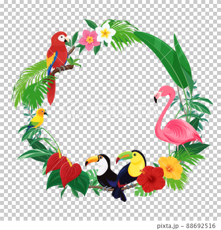 トロピカルな鳥の丸いフレーム_イラスト素材 88692516