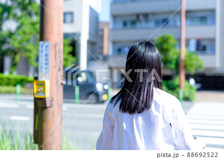 信号待ちする、自転車通学する女子高校生 後ろ姿 住宅地 市街地 綺麗な新緑 信号待ちする、自転車通学する女子高校生 後ろ姿 住宅地 市街地 綺麗な新緑 88692522