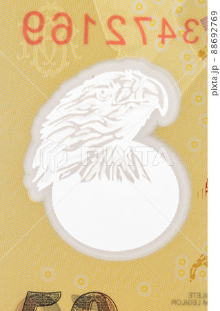 See-through window with eagle head. Security on 50 Romanian leu (RON) banknote. See-through window with eagle head. Security on 50 Romanian leu (RON) banknote. 88692769
