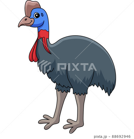 Cassowary Animal Cartoon Colored Clipart  88692946