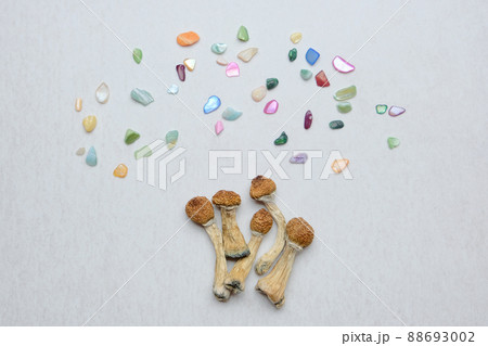 Psychedelic psilocybin mushrooms on white background, micro-dosing concept 88693002