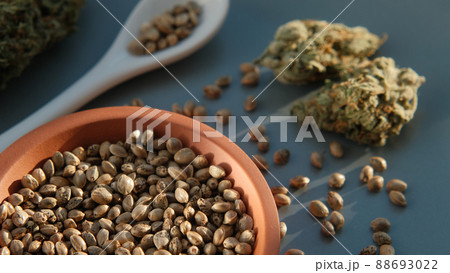 A bunch of cannabis seeds lie on a spoon and plate with several dried buds 88693022
