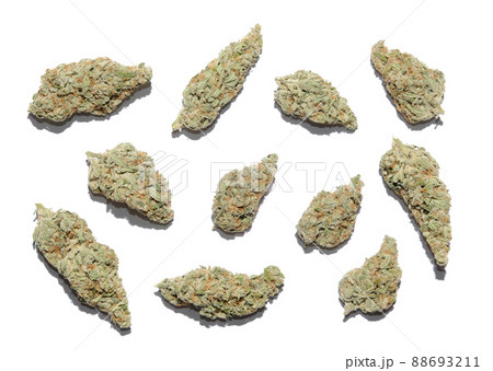 Marijuana buds closeup. Medicinal cannabis flowering on white background, isolated. 88693211