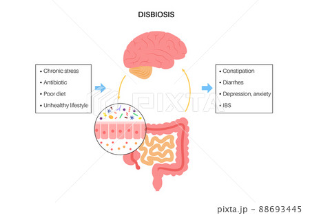 Gut brain connection 88693445