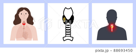 Thyroid gland vector 88693450