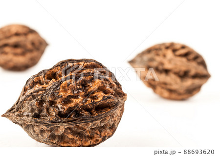 three large wild walnuts on a white isolated background. focus in the foreground. three large wild walnuts on a white isolated background. focus in the foreground. 88693620