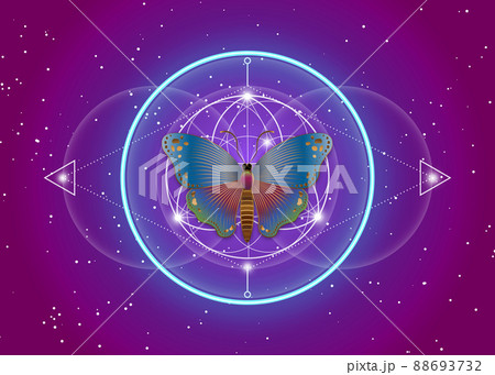 Butterfly over mandala, Sacred Geometry, logo Symbol of Harmony and Balance, Glowing Psychedelic neon. Colorful Geometrical Ornament, yoga relax, spirituality, vector purple gradient background 88693732