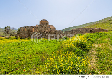 Ruins of Panagia tou Sinti ortodox Monastery with temple in the center and yellow flowers in the foreground, Cyprus Ruins of Panagia tou Sinti ortodox Monastery with temple in the center and yellow flowers in the foreground, Cyprus 88693816