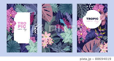 Set of three cards with tropical leaves  88694019