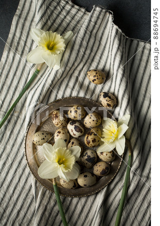 Quail Quail 88694745