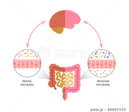 Gut brain connection 88695550