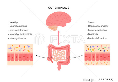 Gut brain connection 88695551