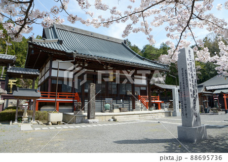 春の本圀寺　本師堂　京都市山科区 88695736