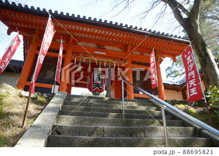 春の毘沙門堂　仁王門　京都市山科区 88695821