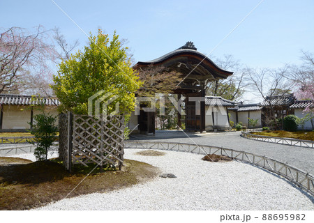 春の二尊院　庭と勅使門　京都市右京区嵯峨 88695982