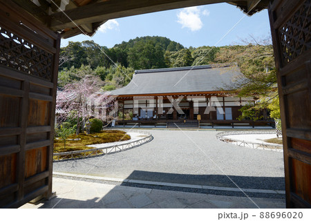 春の二尊院 勅使門から本堂を望む 京都市右京区嵯峨 春の二尊院 勅使門から本堂を望む 京都市右京区嵯峨 88696020