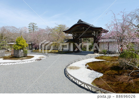 春の二尊院 庭と勅使門 京都市右京区嵯峨 春の二尊院 庭と勅使門 京都市右京区嵯峨 88696026
