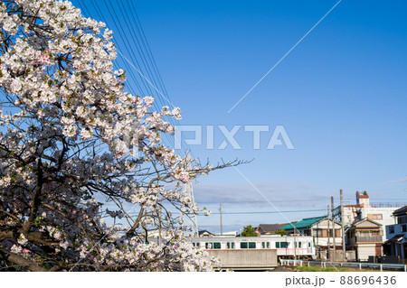 【小牧線】新地蔵川と桜 【小牧線】新地蔵川と桜 88696436