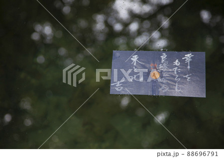 〈島根県〉八重垣神社　鏡ノ池　縁占い 88696791