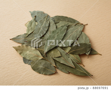 　ローリエの葉 88697691