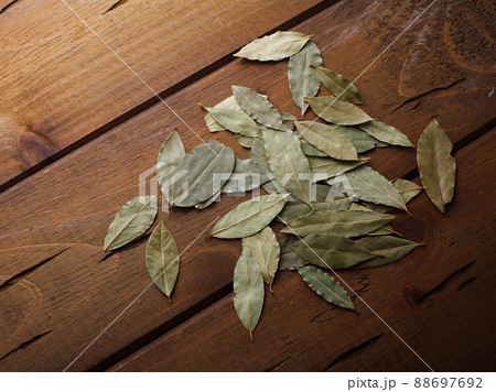 　ローリエの葉 88697692