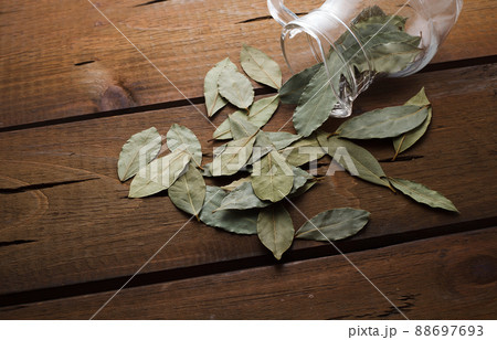 　ローリエの葉 88697693