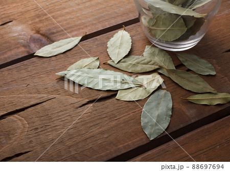 　ローリエの葉 88697694