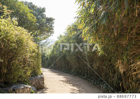 風景 梧桐島 麗水市 88697773