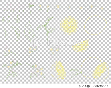 レモンの実と花の線画セット(カラー) レモンの実と花の線画セット(カラー) 88698863