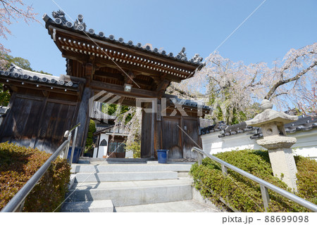 城下町津山 千光寺 山門 岡山県津山市城東界隈 城下町津山 千光寺 山門 岡山県津山市城東界隈 88699098