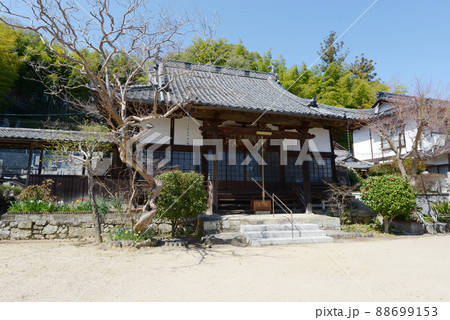 城下町津山 大信寺 本堂 岡山県津山市城東界隈 城下町津山 大信寺 本堂 岡山県津山市城東界隈 88699153