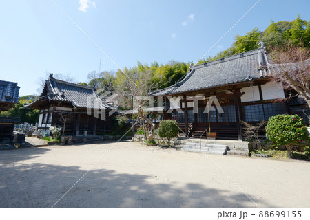 城下町津山 大信寺 境内 岡山県津山市城東界隈 城下町津山 大信寺 境内 岡山県津山市城東界隈 88699155