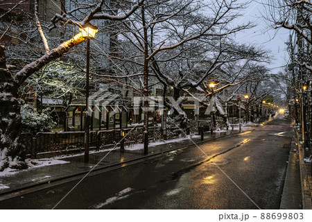 雪の京都・京都木屋町、早朝、雪の高瀬川沿いの風景 雪の京都・京都木屋町、早朝、雪の高瀬川沿いの風景 88699803