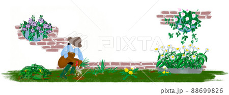 庭で草取りをする女性のイラスト 88699826