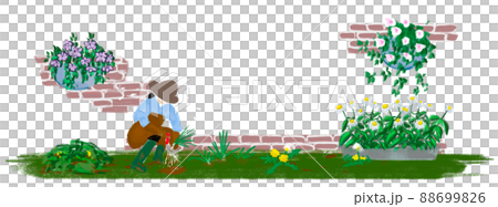 庭で草取りをする女性のイラスト 88699826