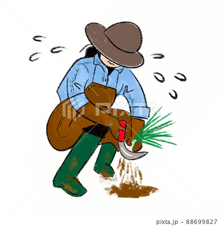 草取りする女性 草取りする女性 88699827