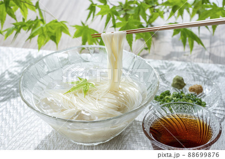 そうめんと青もみじ 88699876