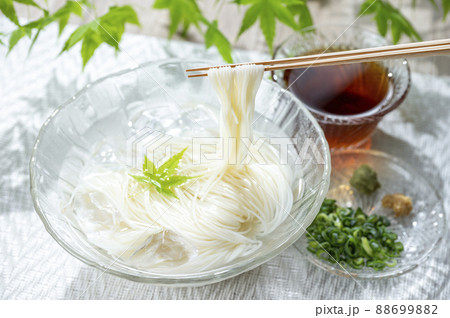 そうめんと青もみじ 88699882