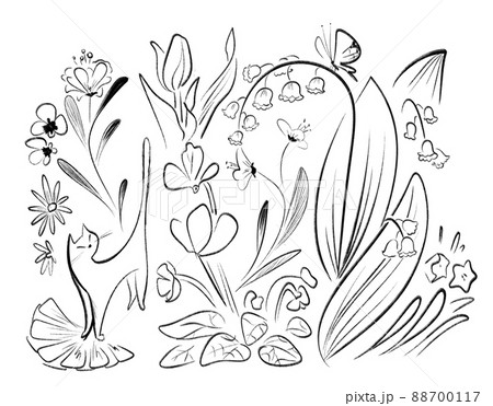 植物と猫の線画 植物と猫の線画 88700117