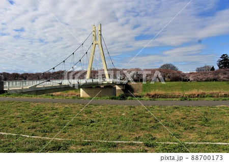 埼玉県幸手市・権現堂堤の外野橋 88700173
