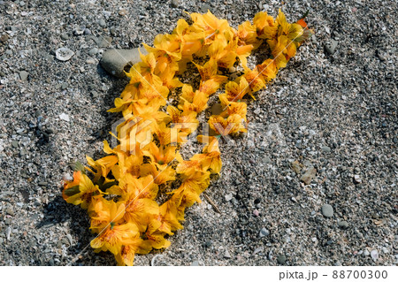 ハワイアンレイ 黄色 フラワーレイ 海外旅行 aloha 外旅行 ハワイアンレイ 黄色 フラワーレイ 海外旅行 aloha 外旅行 88700300